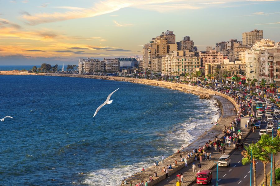 Alexandria Holiday Package
